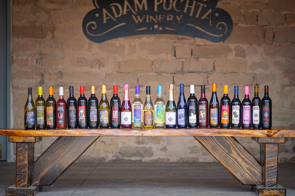 Adam Puchta Wine lined up on bench